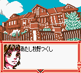 Hana Yori Dango Another Love Story rom gbc