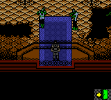 Resident Evil Gaiden rom gbc
